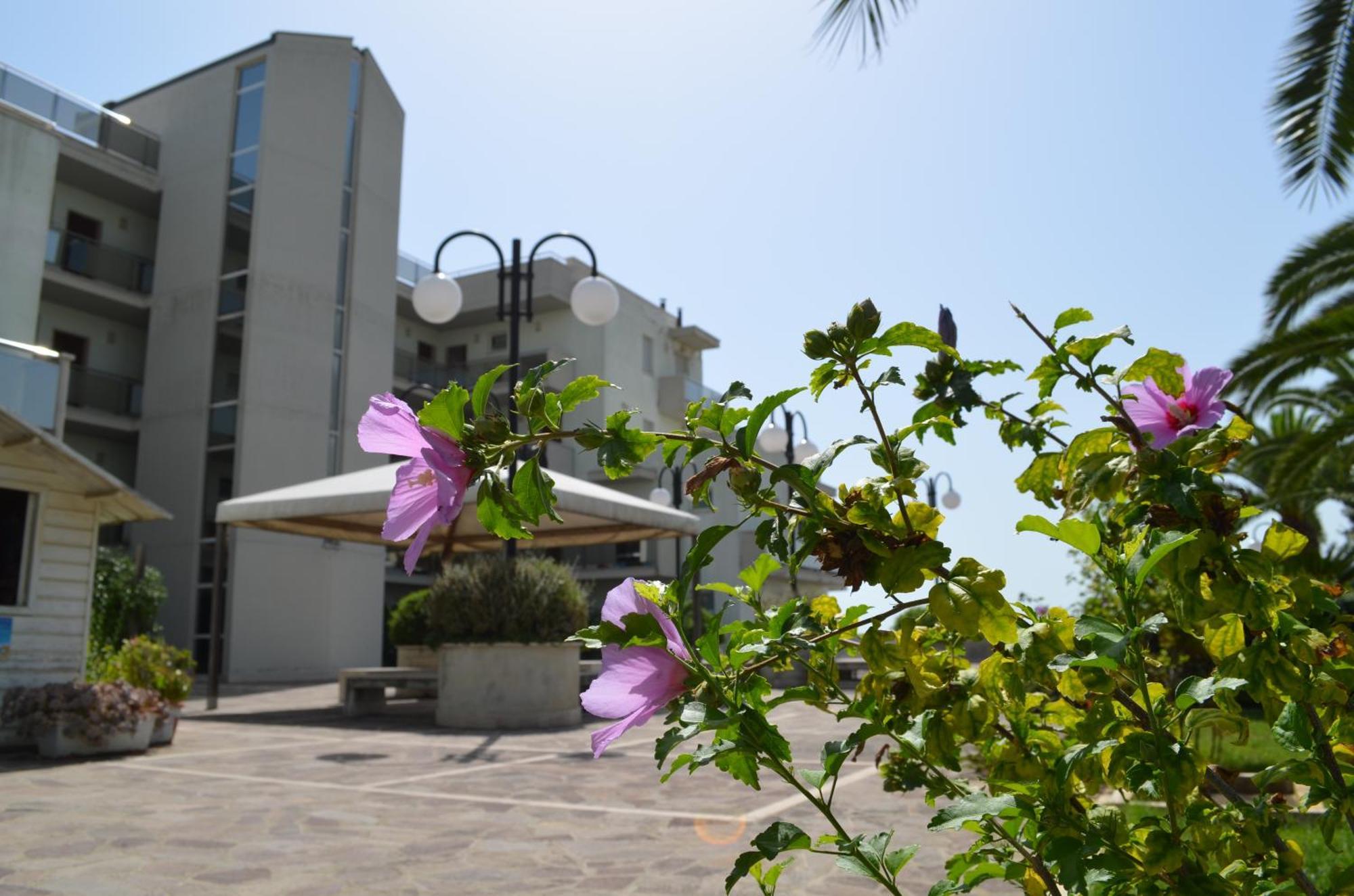 Residence Brezza Di Mare Σαν Μπενεντέτο ντελ Τρόντο Εξωτερικό φωτογραφία